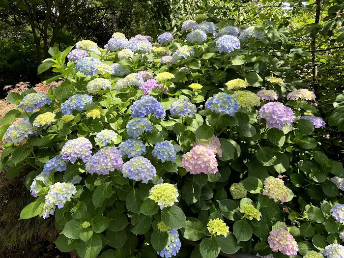 Van Vorst Park Picture 9