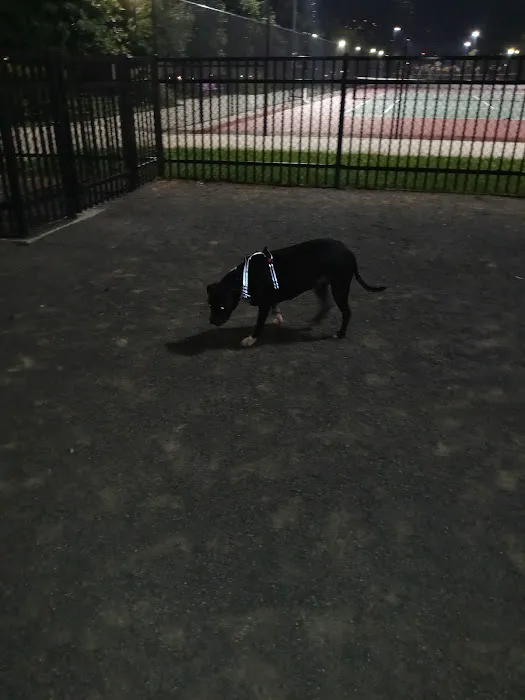 Berry Lane Park Dog Run Picture 4