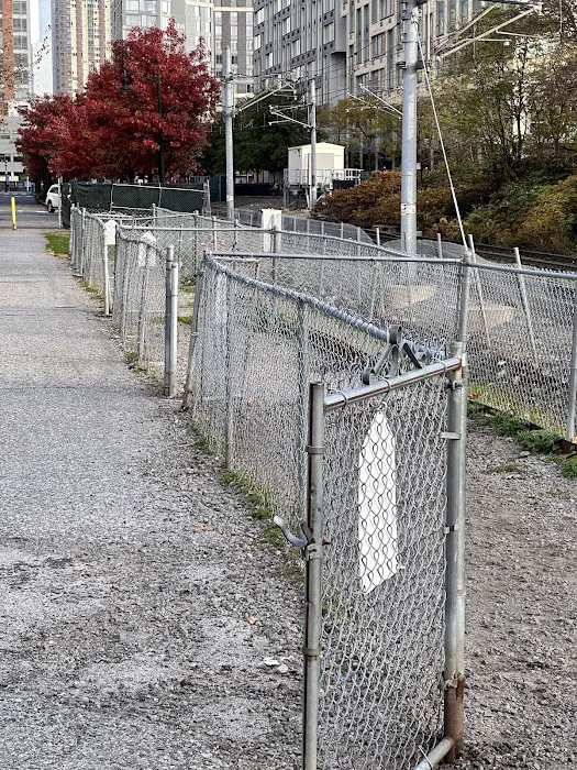 Dog Run Picture 2