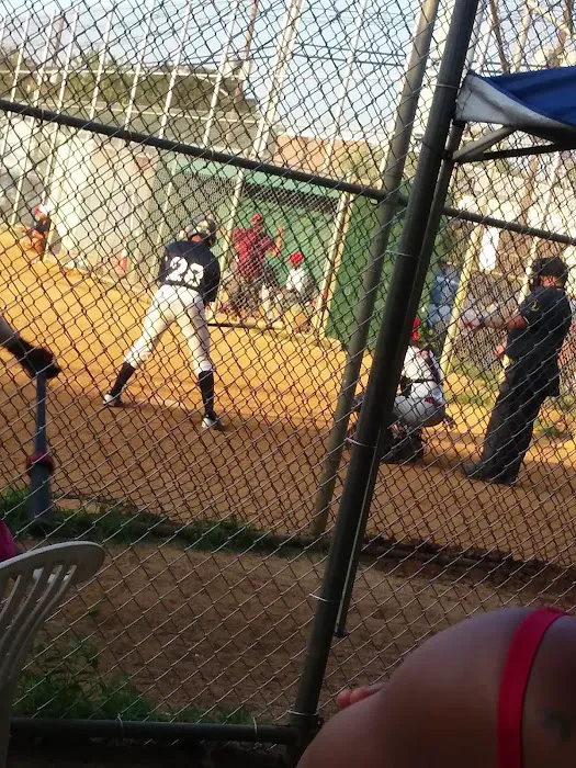Courtney Fricchione Park Picture 10