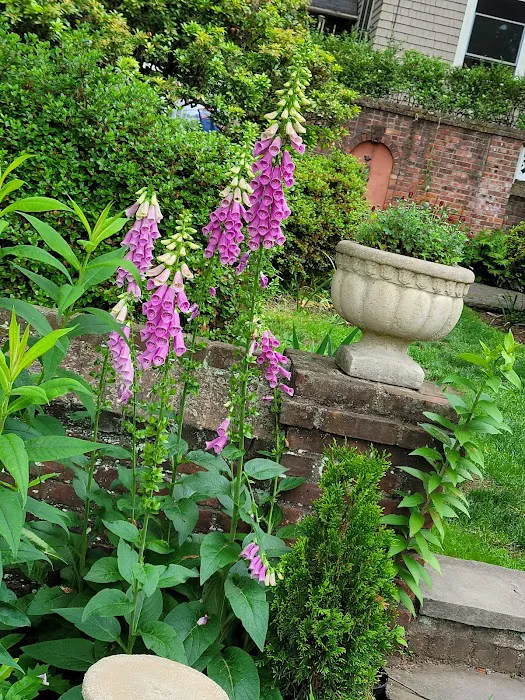 Freeman Gardens Picture 4