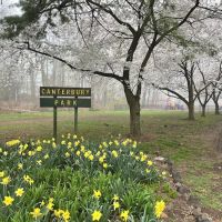 Canterbury Park ico