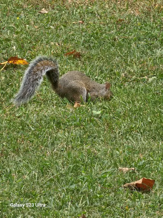 Nishuane Park Picture 6