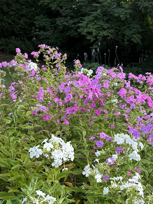 Avis Campbell Gardens Picture 5