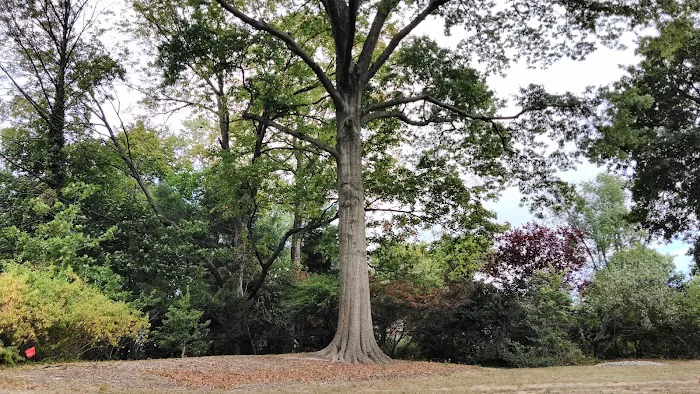 Porter Park Picture 9