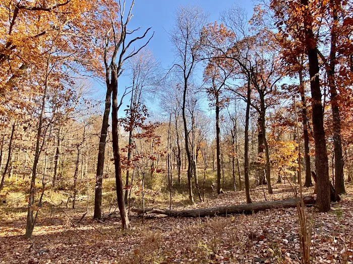 Eagle Rock Reservation Trail Parking Picture 10