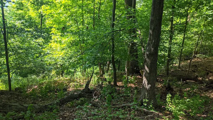 Eagle Rock Reservation Trail Parking Picture 2
