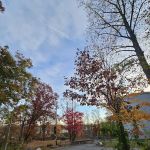 Mountainside Park