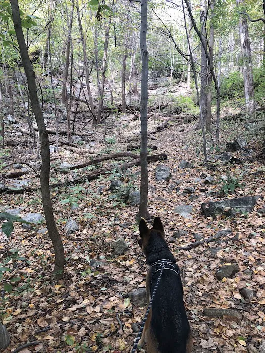 Mountainside Park Picture 8