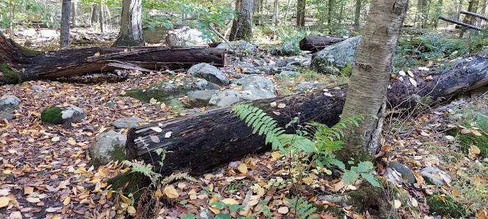 Mountainside Park Picture 5