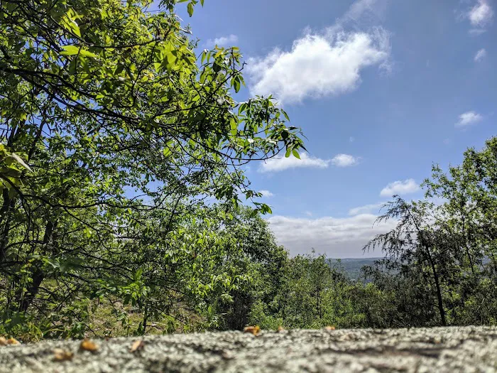 Mountainside Park Picture 6
