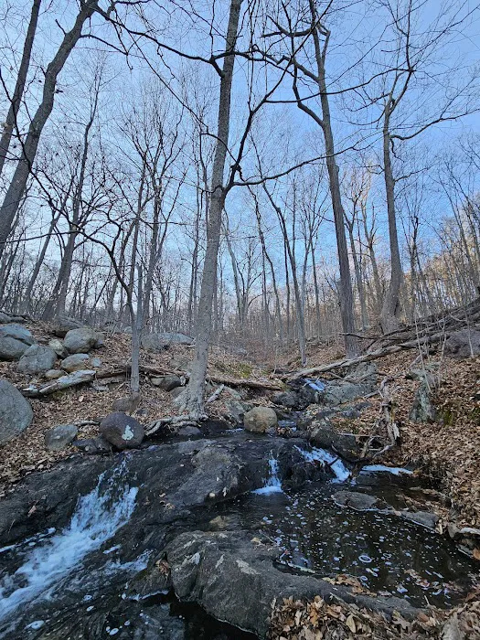 Mountainside Park Picture 2