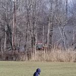 Kinnelon Recreation Department