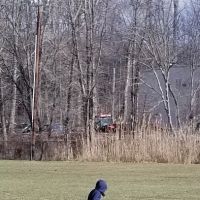 Kinnelon Recreation Department ico
