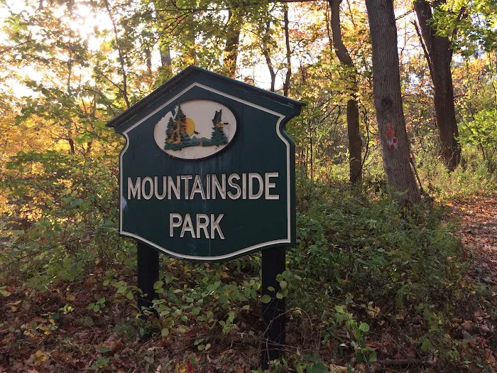 Mountainside Park Picture 5