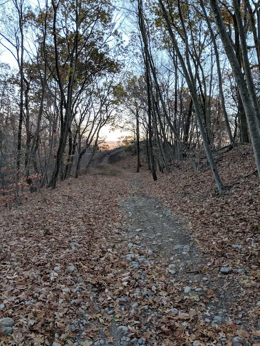 Mountainside Park Picture 6