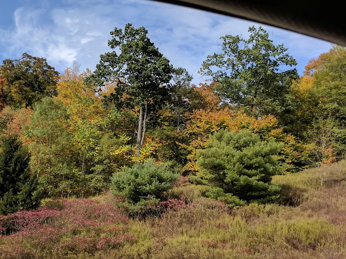 Mountainside Park Picture 8