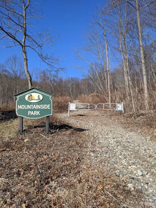 Mountainside Park Picture 7