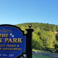 Bark Park ico