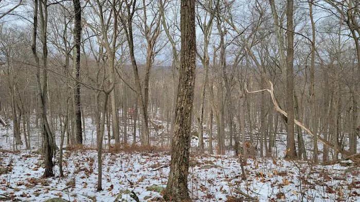 Farny State Park Picture 4