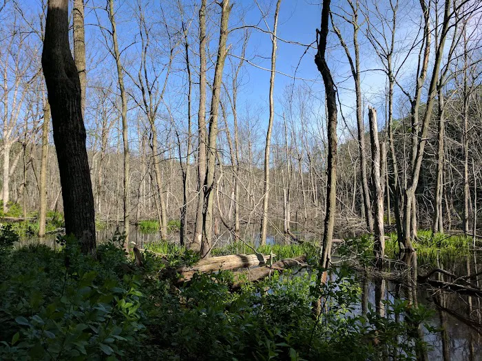 Farny State Park Picture 1
