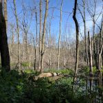 Farny State Park