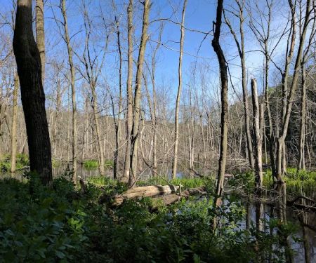 Farny State Park