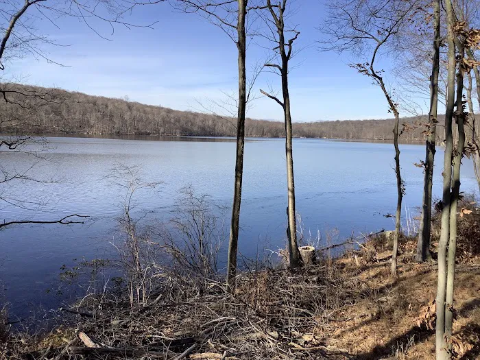 Farny State Park Picture 6