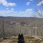 Silas Condict County Park