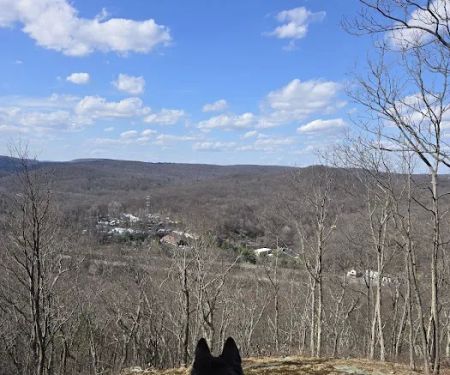 Silas Condict County Park
