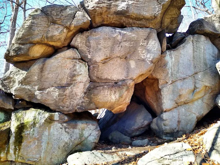 Silas Condict County Park Picture 4