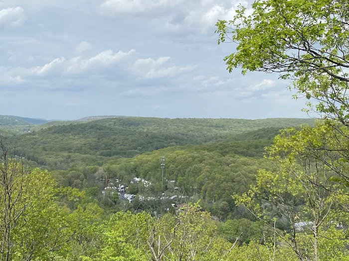 Silas Condict County Park Picture 9