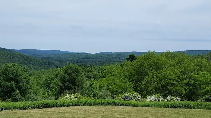 Craigmeur Picture 6