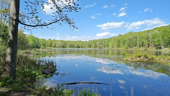 Egbert's Lake Park Picture 3