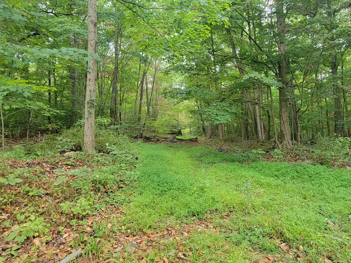 Egbert's Lake Park Picture 9