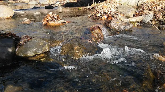 Egbert's Lake Park Picture 10