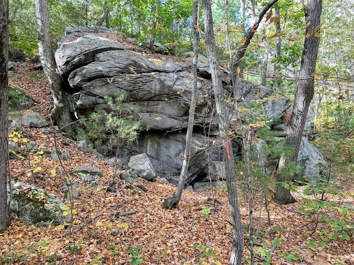 Apshawa Preserve Picture 5