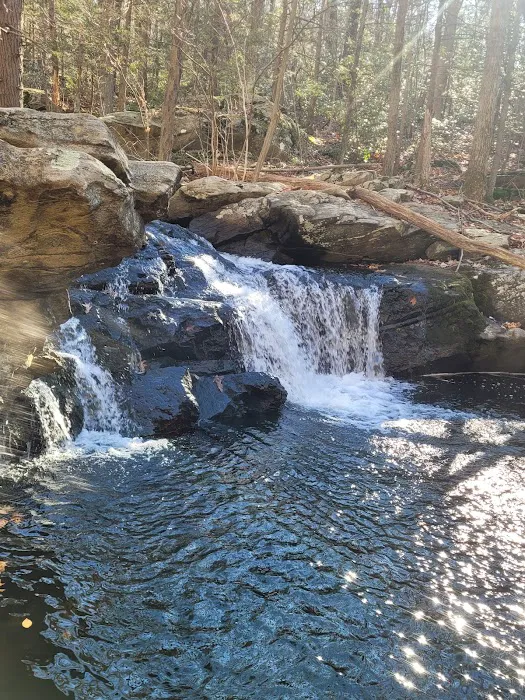 Apshawa Preserve Picture 10