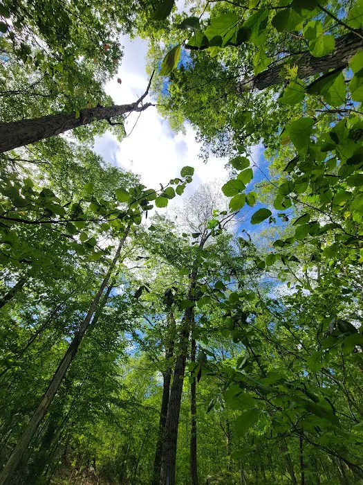 Apshawa Preserve Picture 1
