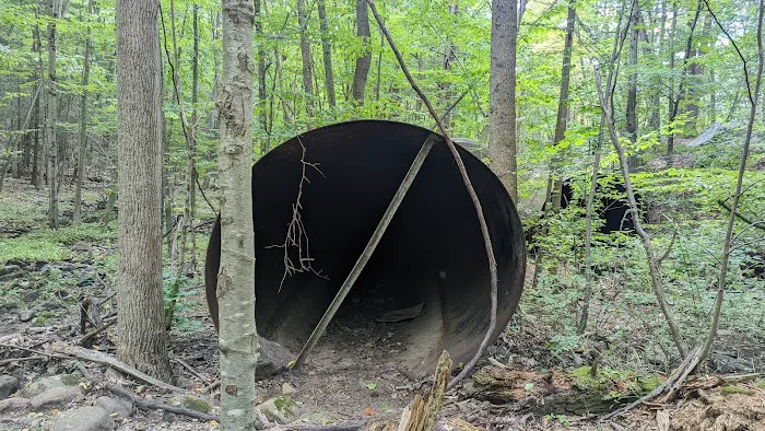 Apshawa Preserve Picture 4