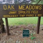 Oak Meadows