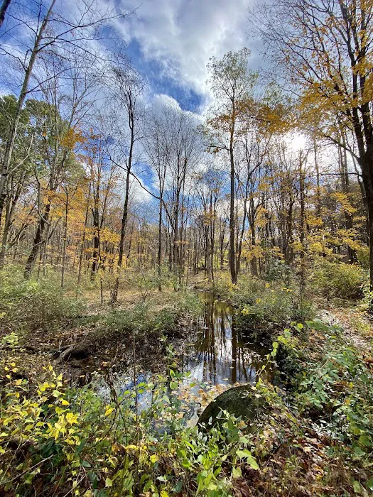 Jonathan's Woods Picture 10