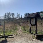 Jonathan's Woods