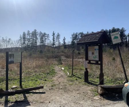 Jonathan's Woods