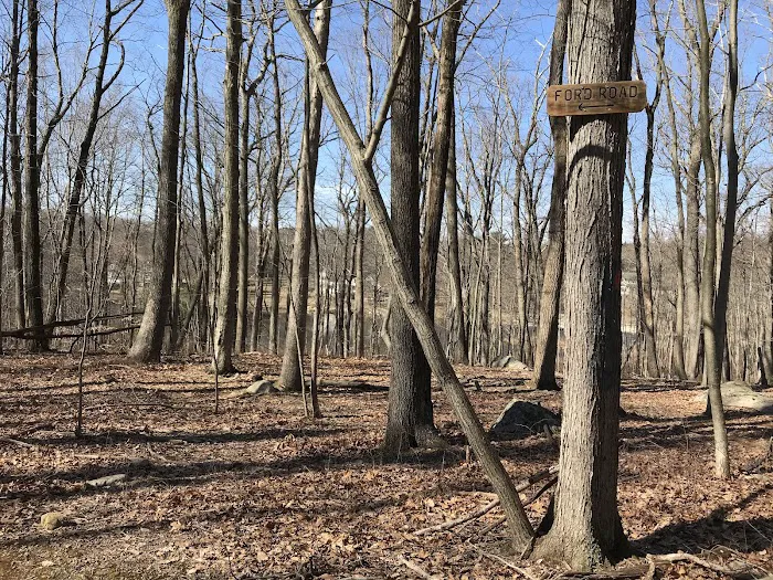 Jonathan's Woods Picture 7