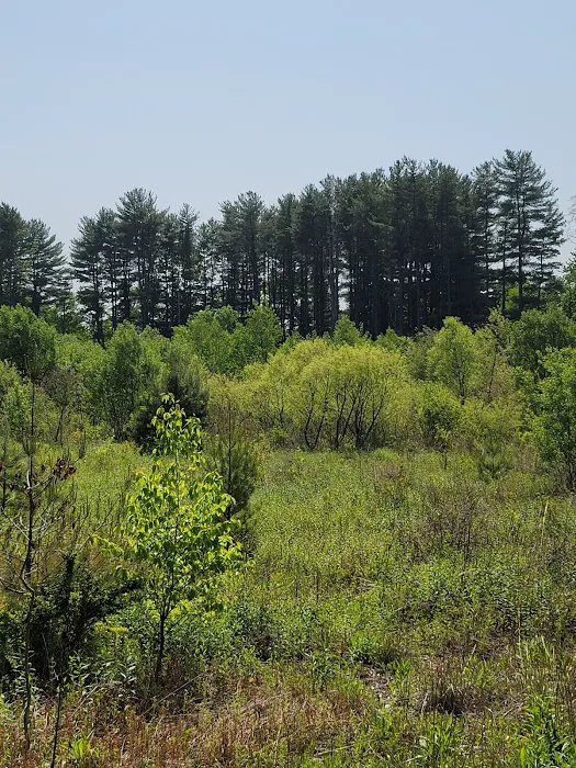Jonathan's Woods Picture 3