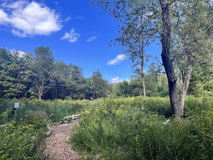 Jonathan's Woods Picture 4