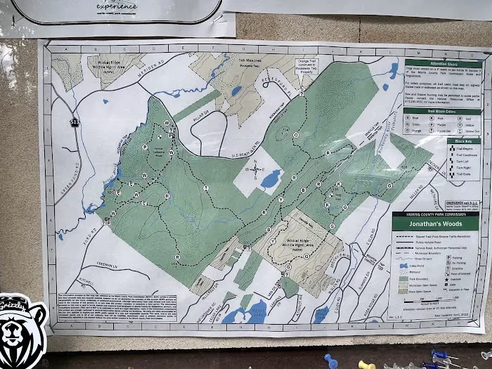 Jonathan's Woods Picture 6