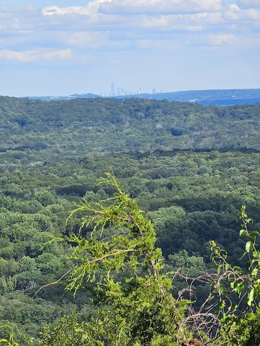 Wildcat Ridge Picture 5