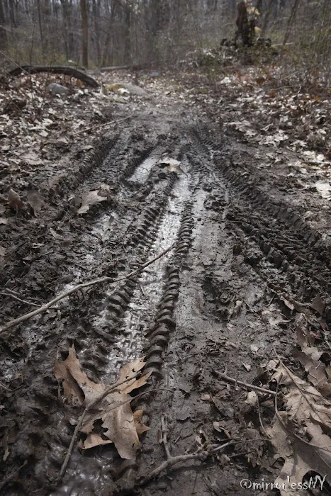 Wildcat Ridge Picture 2